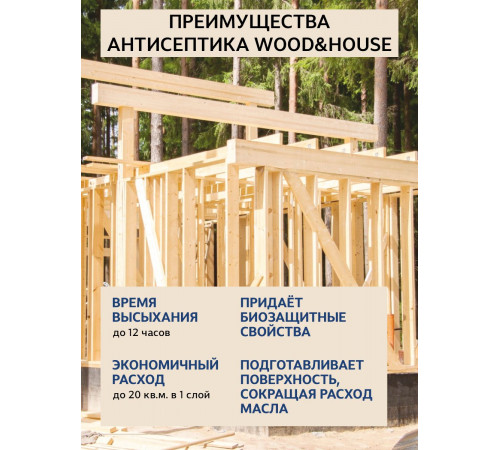 Заказать ГРУНТОВОЧНЫЙ АНТИСЕПТИК WOOD & HOUSE в Нижнекамске, Республика Татарстан
